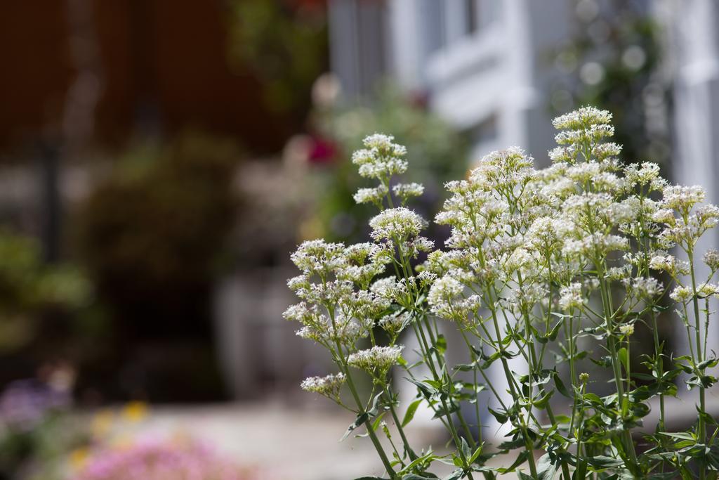 Penwinnick House B&B St Austell Eksteriør billede